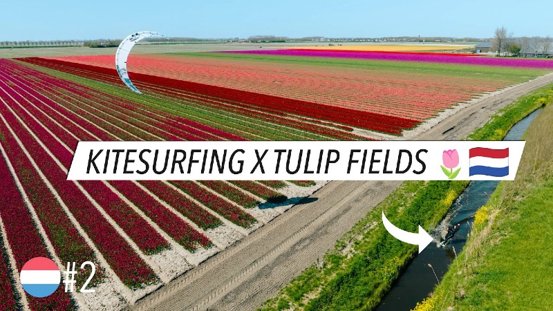 Hannah Whiteley kiteando en los campos de tulipanes de Holanda