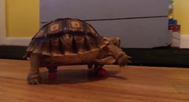 Captura de pantalla 2015-02-10 a las 21