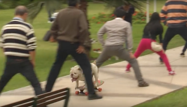 Captura de pantalla 2015-11-14 a las 8