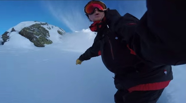 DC Shoes Torstein
