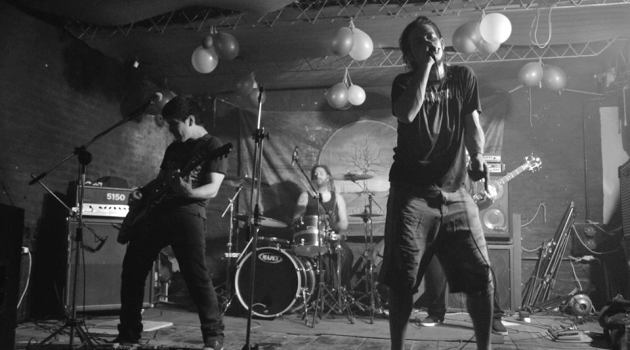 Genomaband 1