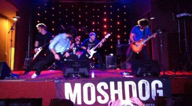 Mosgdog vivo