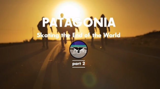 sk8-patagonia-cap-2